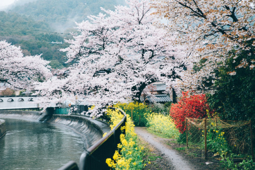 ourbedtimedreams:  Untitled by Felix Lai