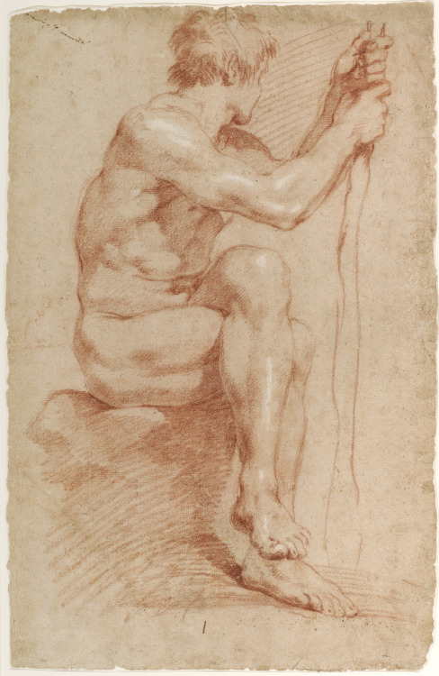 Seated Male NudeGian Lorenzo Bernini (Italian; 1598–1680)ca. 1618–24Red chalk heightened with white 