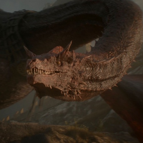 I Just Saw A Syrax Hate Post. Guy, Please. You Can Hate The Characters You Hate And Love The Characters