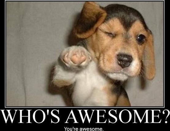 In case you needed a reminder. X3 __________________________ Aaaaaaaaaaand my mood