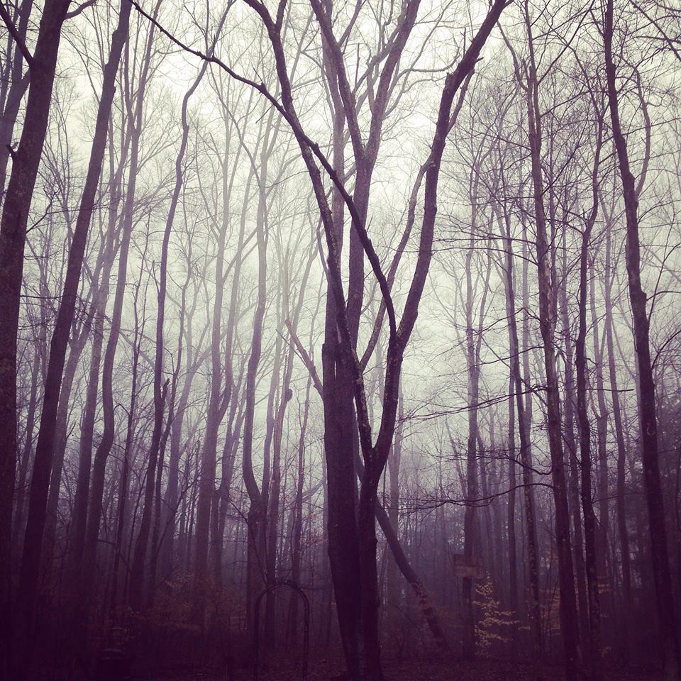 By virtue of it being spring, the woods are appearing to be more haunted than usual, what with bare limbs and thick fog. This from Amanda is no exception. Taken south of town, it shows that no matter what happens as plunge headlong into our future,...