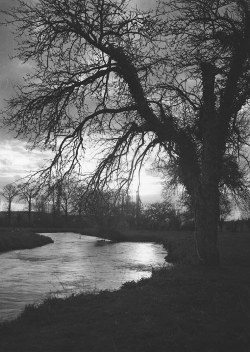 adanvc:  Landscape in Normandy, 1940s. by