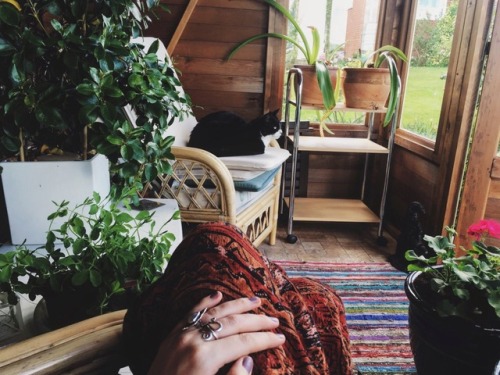 sunfl0wer-spirit:my cute lil garden house