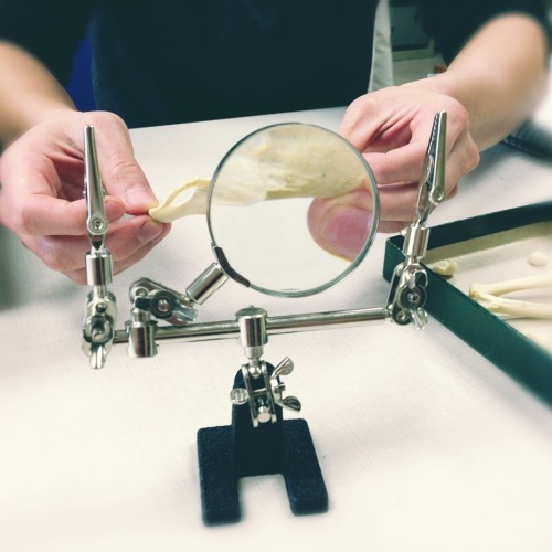 beatattitude:Such a cool magnifying glass! My friend Daniel is holding a macaque’s hip bone under th