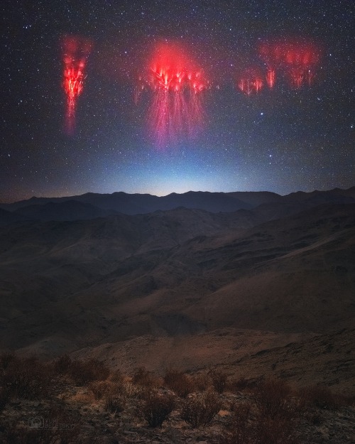 just–space:Red Sprite Lightning over the Andes : What are those red filaments in the sky? They are a