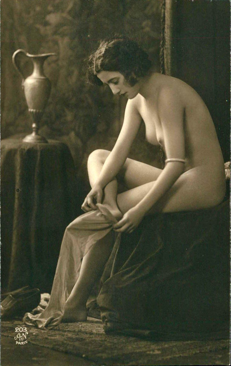 grandma-did:  Noyer Studio