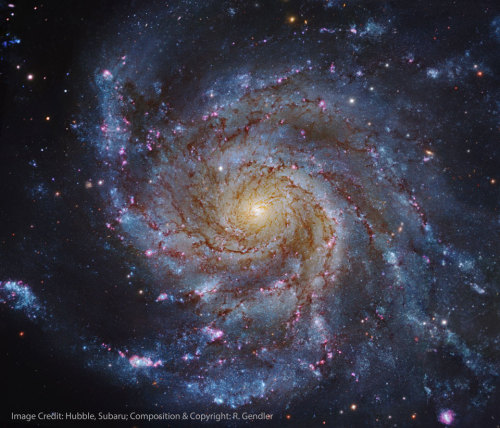 M101 - Pinwheel Galaxy Various Views