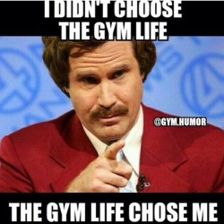sirrahpro-fitness:  I didn’t choose the gym life, the gym life chose me!  #gymlife #gym #life #lifestyle #bodybuilding #physique #exercise #trainer #health #fitness