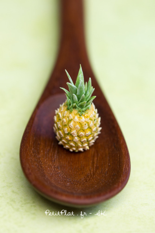 Day 225 - Mordilonus-Perolera-Malpure Pineapple / AnanasOr the art to make a second pineapple, with 