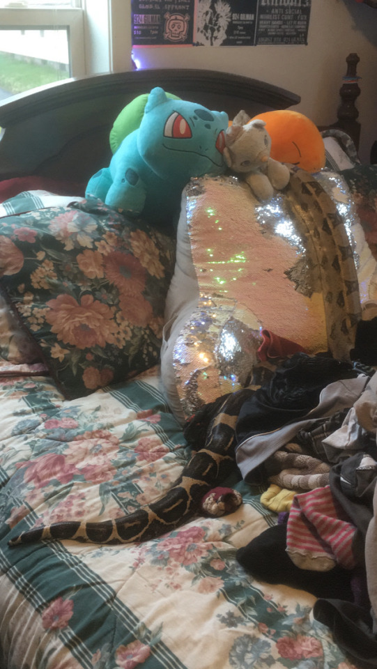 a snake stretched out on a bed, that also has stuffed animals and a pile of laundry on it