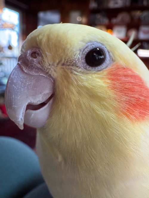 She