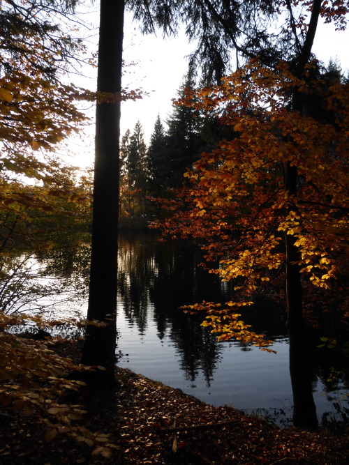 neveralonealwayswithyou: Bavaria, GermanyOriginal Photography by http://neveralonealwayswithyou.tumb