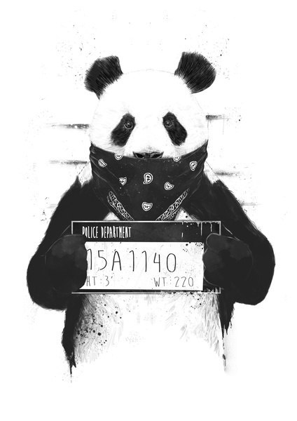 Porn the-real-eye-to-see:  Do not mess with panda photos