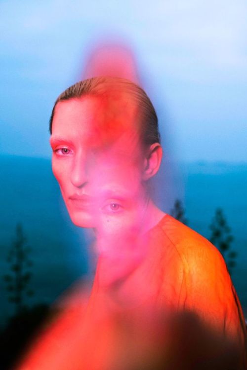 maciekjasik:© Elizaveta Porodina