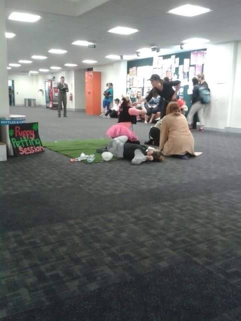 megalesbian6000:  meladoodle:  There was a puppy petting session at uni today and