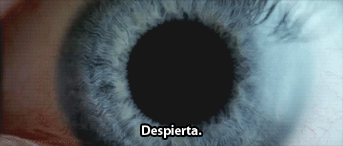  reality kills me 