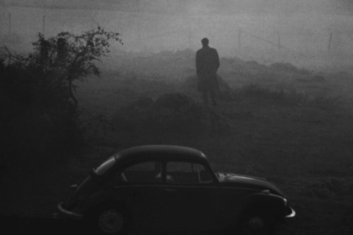 no1partyabbey-blog:Ida (2013, dir. Pawel Pawlikowski)Nostalghia (1983, dir. Andrei Tarkovsky)