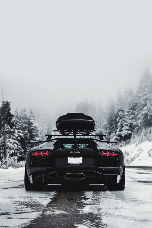 envyavenue:  Lamborghini Snowventador 