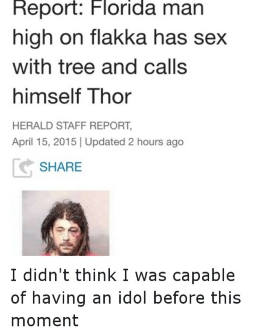 runkeldat:tamagxtchii:njadaddy:thehighpriestofreverseracism:everydayfixxx:catchymemes: The Adventure