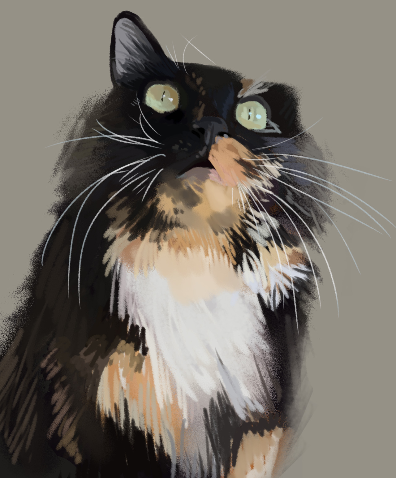 December 28, 2019. painting of my cat!