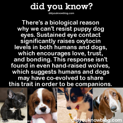 did-you-kno:  There’s a biological reason