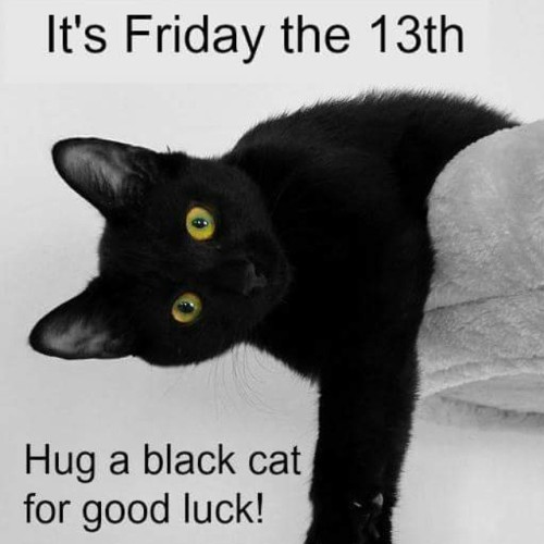 #blackcat #friday13th #hug #goodluck