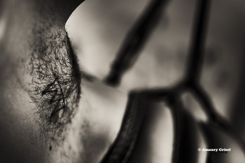 amaury-grisel-shibari:  Baby J. in my ropes … +closeup  Kinbaku by Amaury Grisel 