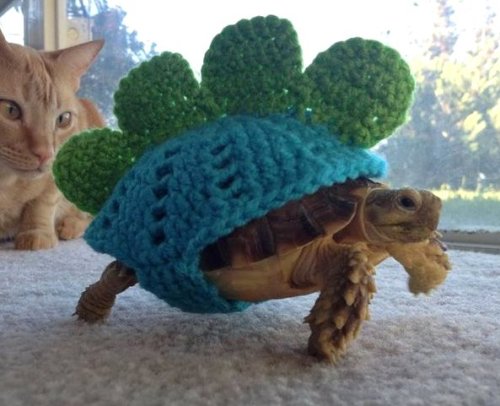 end0skeletal:In case you are sad here are some animals wearing sweaters.