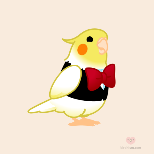 birdhism: Henlo and welcome! I will be your waiter for today.