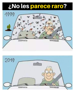 Los más jóvenes tal vez ni sepan, pero cualquier persona recuerda muy bien que hasta hace unos 20 años cualquier viaje en coche significaba un parabrisa cubierto de insectos aplastados por el impacto. Hoy, eso ya no sucede de la misma forma.Puede parecer