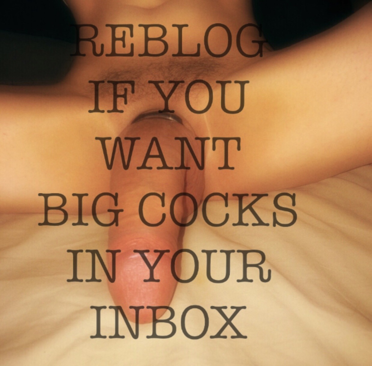 subinseattle: jacktwist87:   krsgor:   big-white-cocks-daily:  Reblog 🔂 If You