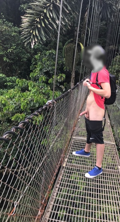 Exploring the jungle on vacation. I was feeling generous and allowed his little guy out of its cage 