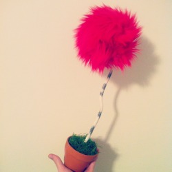 lostwiththelorax:  House Plant