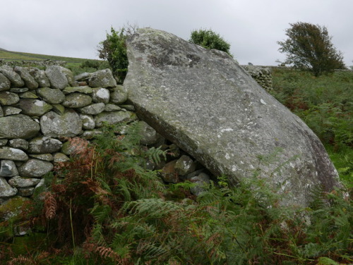 Bron Y Foel Isaf (Bron Y Foel) Burial Chamber, Gwynedd, North Wales, 25.8.17. This Neolithic portal 