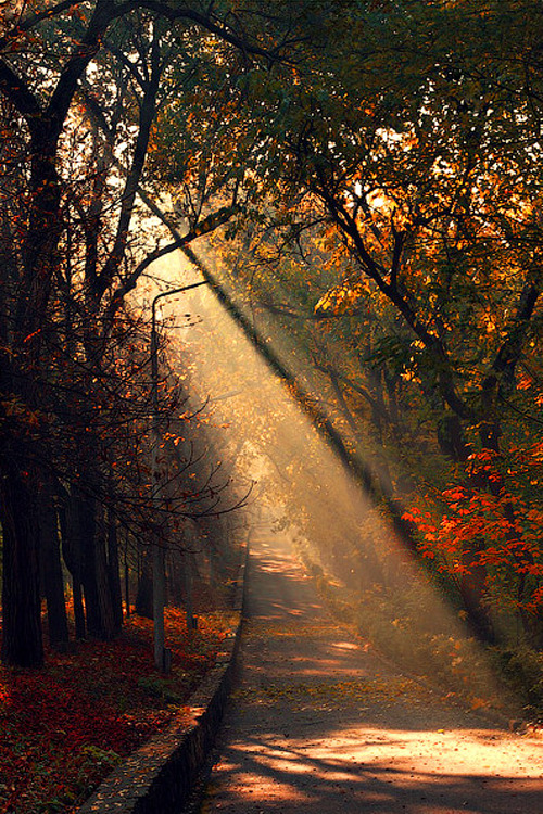 plasmatics-life:   Moldova ~ Chisinau | By Alexandru Popovschi  