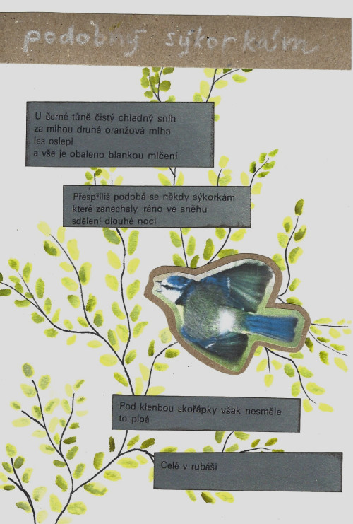 Jan Skcel: Podobn Skorkm; Tyver XVIII