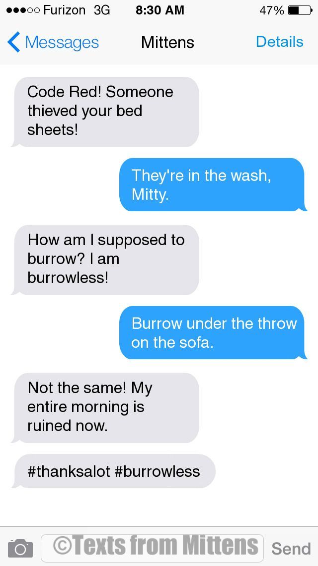 texts-from-mittens