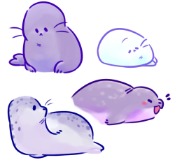 erasersan: more baby seals!!!