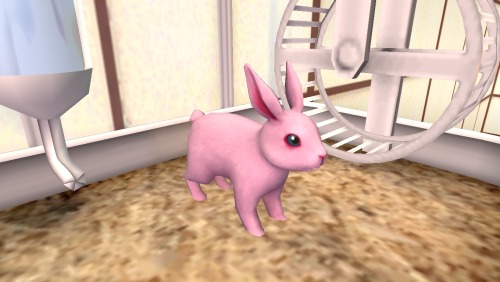 Baby Rabbit Cage For The Sims 2