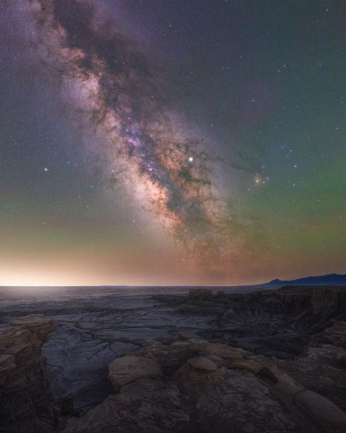 throughwinterfields:  spencerwelling