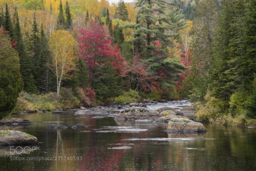 eda11y: beautiful nature by Aivoarm