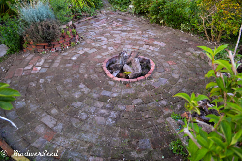 biodiverseed:New, improved and finally finished:The firepit and herb spiralI started building this a