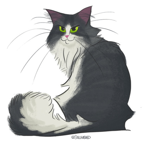 stillhashed:I’ve been doing a 30 day cat drawing challenge on my instagram for a while now! He