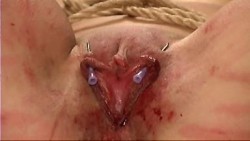 Pussymodsgalorebdsm Pain Games, Needle Play. One Way To Keep Her Inner Labia Spread