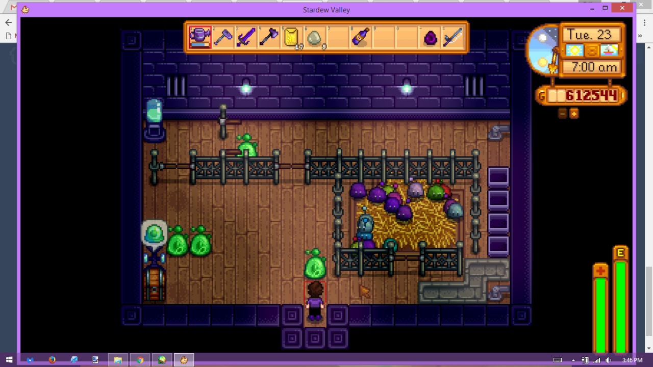 Стардью валлей слаймы. Stardew Valley Slime Hutch Layout. Stardew Valley Slime Hutch.