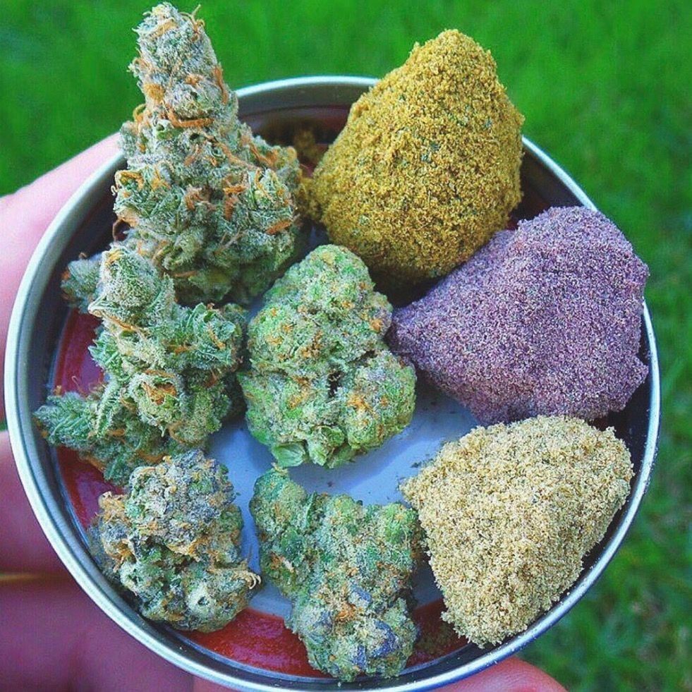 medicalmarijuanablogplug:  🔥🔥🔥