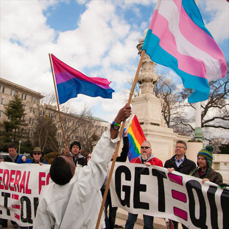 bi-trans-alliance:  March 31 is Trans Day of Visibility  