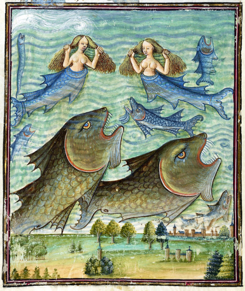 waterworldLivre de la Vigne nostre Seigneur, France c. 1450-1470Bodleian Library, MS. Douce 134, fol