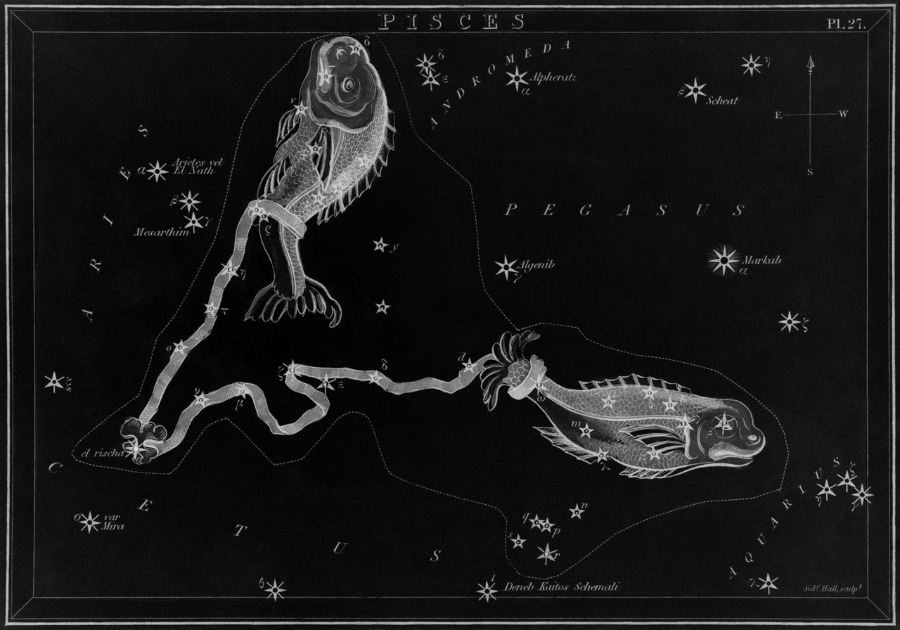 chaosophia218:   Sidney Hall - Signs of the Zodiac, “Urania’s Mirror”, 1824.