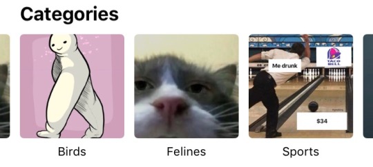 beetledrink:  apple automatically puts your shit in folders of its own choosing now i guess 